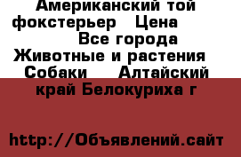 Американский той фокстерьер › Цена ­ 25 000 - Все города Животные и растения » Собаки   . Алтайский край,Белокуриха г.